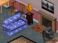 Living room - fireplace