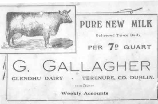 Ad for Gallagher's(Glendhu Dairies)