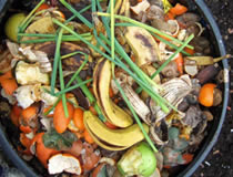 Composting ingredients