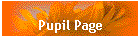 Pupil Page