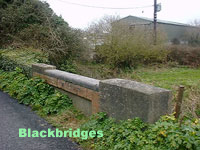 Black Bridges.jpg