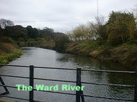 The Ward River.jpg