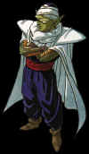 Piccolo10 copy.jpg (16389 bytes)