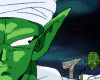 pic4-ORIG.gif (15910 bytes)