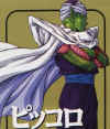piccolo001.jpg (45263 bytes)