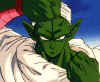 piccolo13.jpg (40005 bytes)