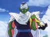 piccolo&gohan.jpg (30789 bytes)