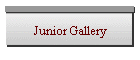 Junior Gallery