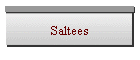 Saltees