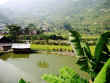 Vietnamese Landscape