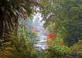 Jenny On The Bridge