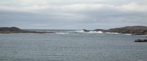 sea600x250