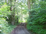 Bunclody has wonderful woodland walks