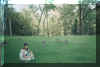 Park2.jpg (133017 bytes)