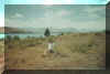 Tekapo.jpg (92986 bytes)