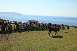 horse racing in Allihies