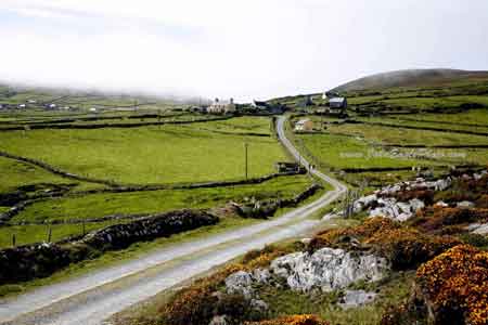 Dursey Island