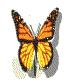 butterfly.gif (8949 bytes)