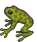 mudfrog.gif (10116 bytes)