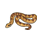 snake1.gif (18417 bytes)