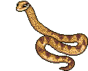 snake2.gif (13243 bytes)