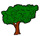 tree.gif (6307 bytes)