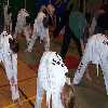 Its important to warm up before taking part in any martial arts activity.