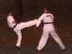 How to block a turning kick.