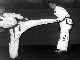 How NOT to block a side kick.