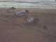 Pressups on the beach in Tramore.