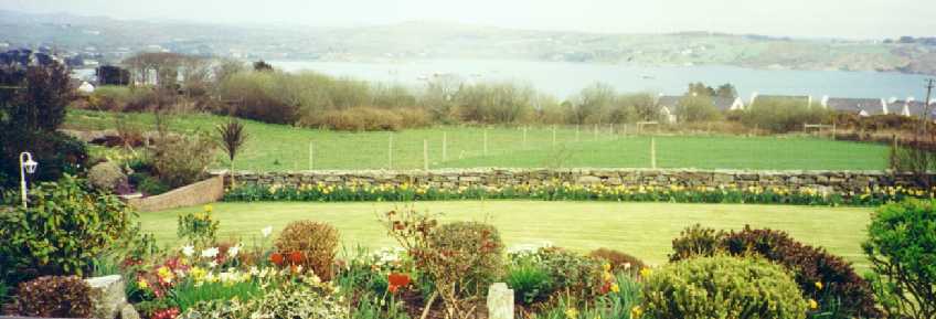 Nancy's Garden overlooking Schull Harbour