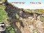 Erosion of soft boulder clay cliffs-Ardmore Bay