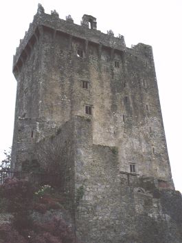 Visit Blarney Castle to kiss the Blarney Stone !!