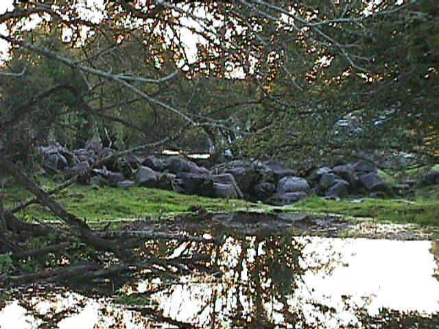 Remnants of ancient Celtic monument?