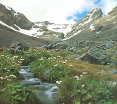 Arthurs Pass