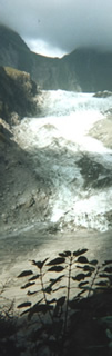 Fox Glacier