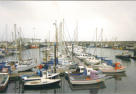 The marina