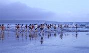 group swimmers xmas02tn.JPG (3804 bytes)